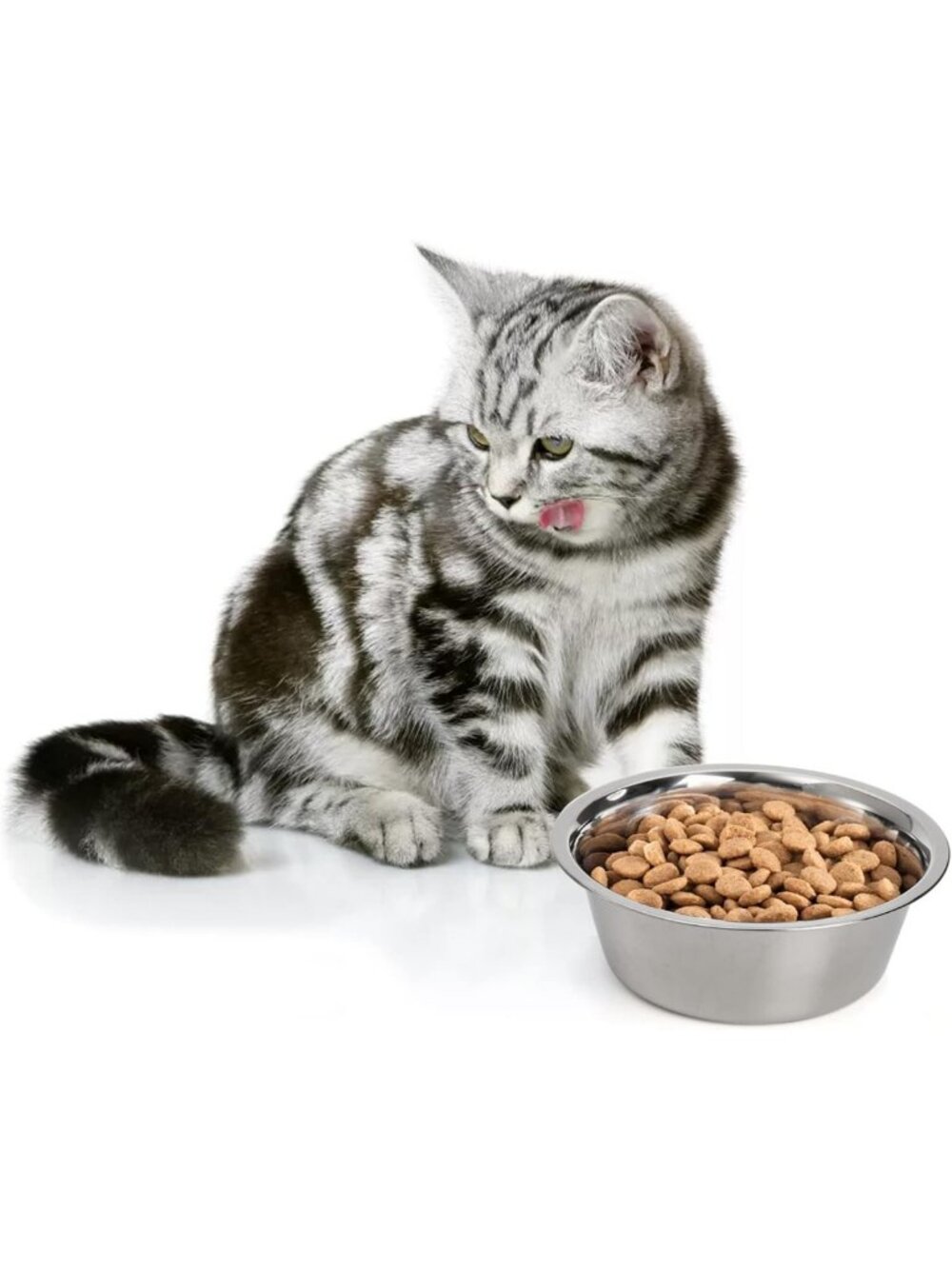4-Pack Stainless Steel Pet Bowls for Dogs & Cats, 8.26" Food & Water Dishes - Picture 7 of 8